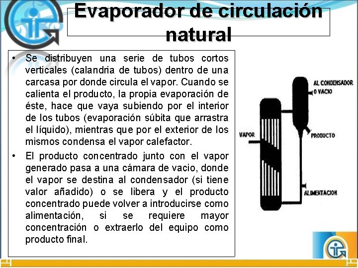 Evaporador de circulación natural • Se distribuyen una serie de tubos cortos verticales (calandria