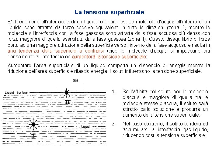 La tensione superficiale E’ il fenomeno all’interfaccia di un liquido o di un gas. La tensione superficiale E’ il fenomeno all’interfaccia di un liquido o di un gas.