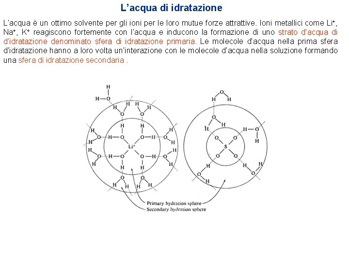 L’acqua di idratazione L’acqua è un ottimo solvente per gli ioni per le loro L’acqua di idratazione L’acqua è un ottimo solvente per gli ioni per le loro