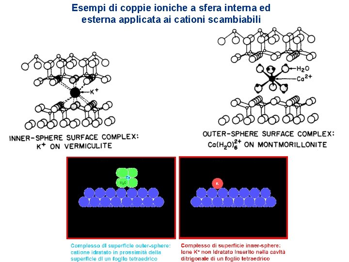Esempi di coppie ioniche a sfera interna ed esterna applicata ai cationi scambiabili Esempi di coppie ioniche a sfera interna ed esterna applicata ai cationi scambiabili