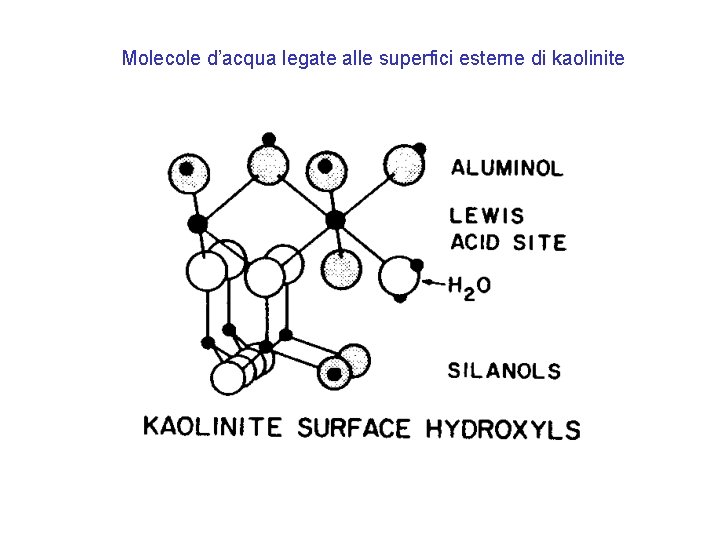 Molecole d’acqua legate alle superfici esterne di kaolinite Molecole d’acqua legate alle superfici esterne di kaolinite