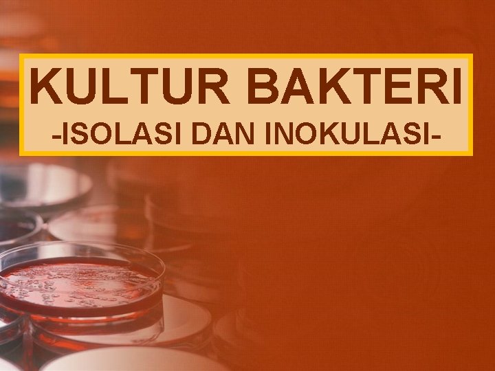 KULTUR BAKTERI -ISOLASI DAN INOKULASI- 