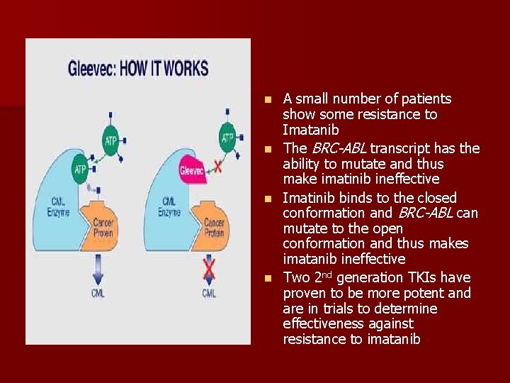 n n A small number of patients show some resistance to Imatanib The BRC-ABL