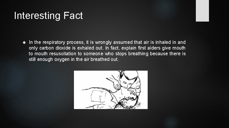 Interesting Fact In the respiratory process, it is wrongly assumed that air is inhaled Interesting Fact In the respiratory process, it is wrongly assumed that air is inhaled