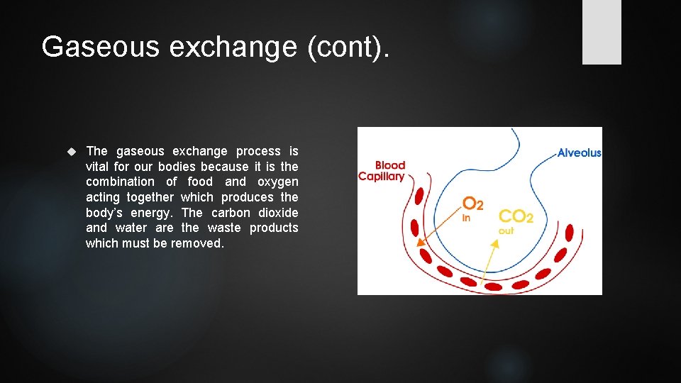 Gaseous exchange (cont). The gaseous exchange process is vital for our bodies because it Gaseous exchange (cont). The gaseous exchange process is vital for our bodies because it