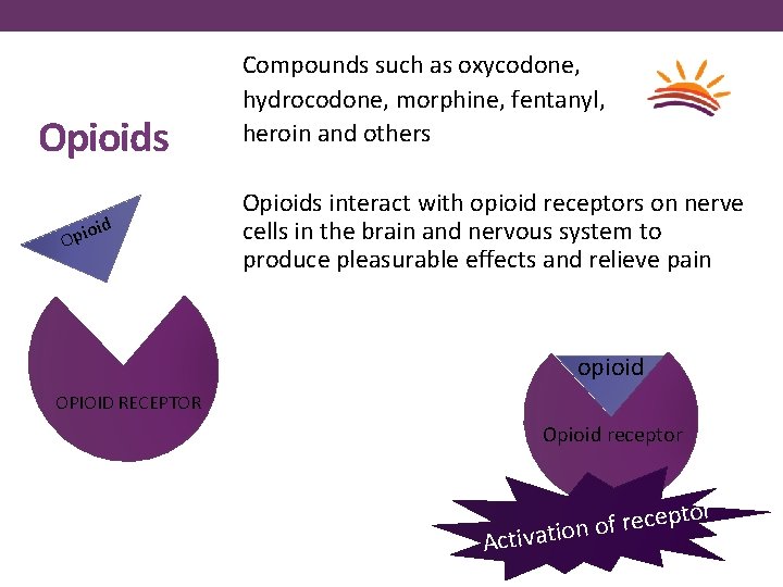 Opioids oid Opi Compounds such as oxycodone, hydrocodone, morphine, fentanyl, heroin and others Opioids