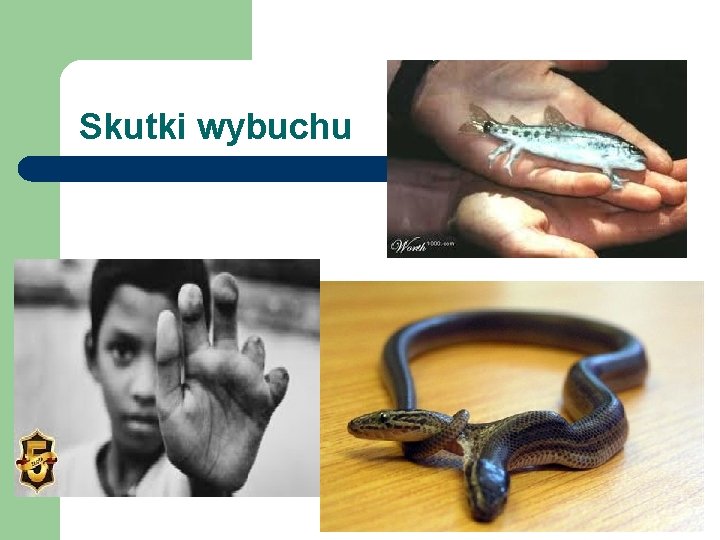 Skutki wybuchu 