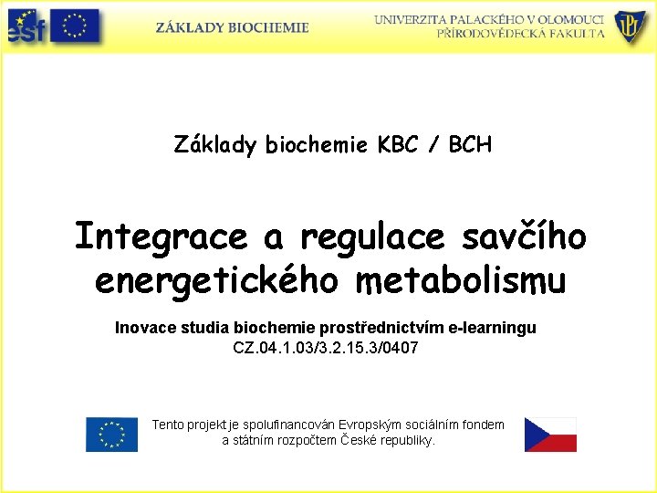 Základy biochemie KBC / BCH Integrace a regulace savčího energetického metabolismu Inovace studia biochemie