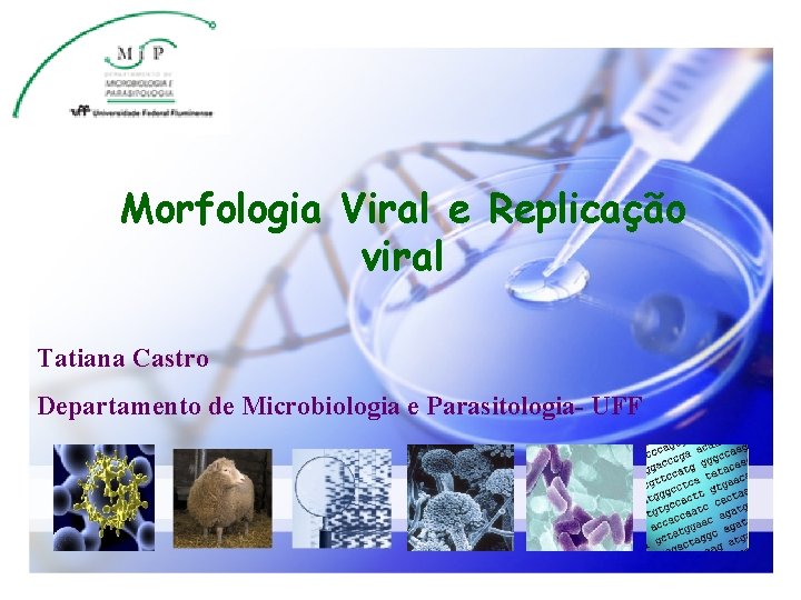 Morfologia Viral e Replicação viral Tatiana Castro Departamento de Microbiologia e Parasitologia- UFF 