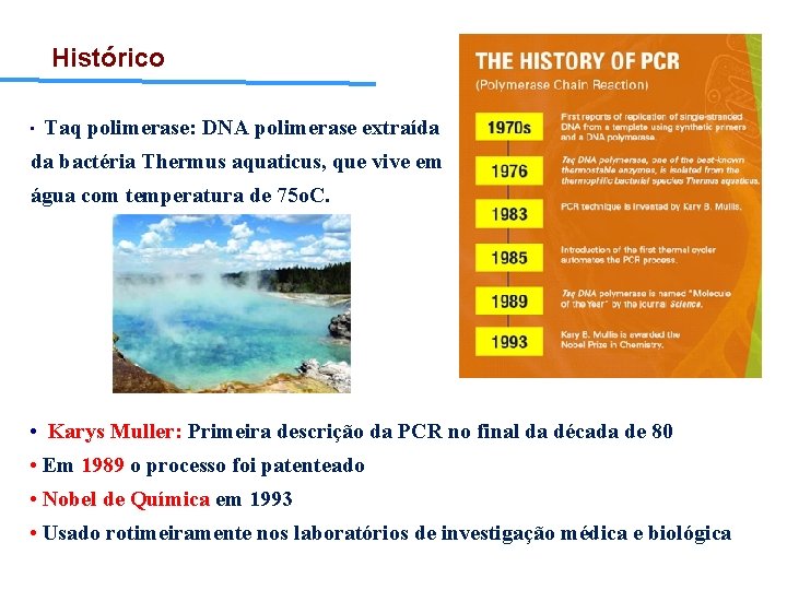 Histórico • Taq polimerase: DNA polimerase extraída da bactéria Thermus aquaticus, que vive em