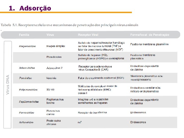 1. Adsorção 