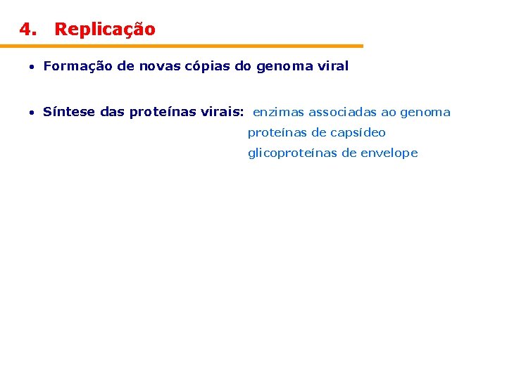 4. Replicação • Formação de novas cópias do genoma viral • Síntese das proteínas