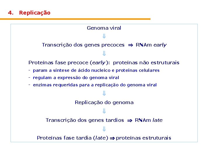 4. Replicação Genoma viral Transcrição dos genes precoces RNAm early Proteínas fase precoce (early):