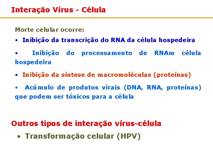 Interação Vírus - Célula Morte celular ocorre: • Inibição da transcrição do RNA da