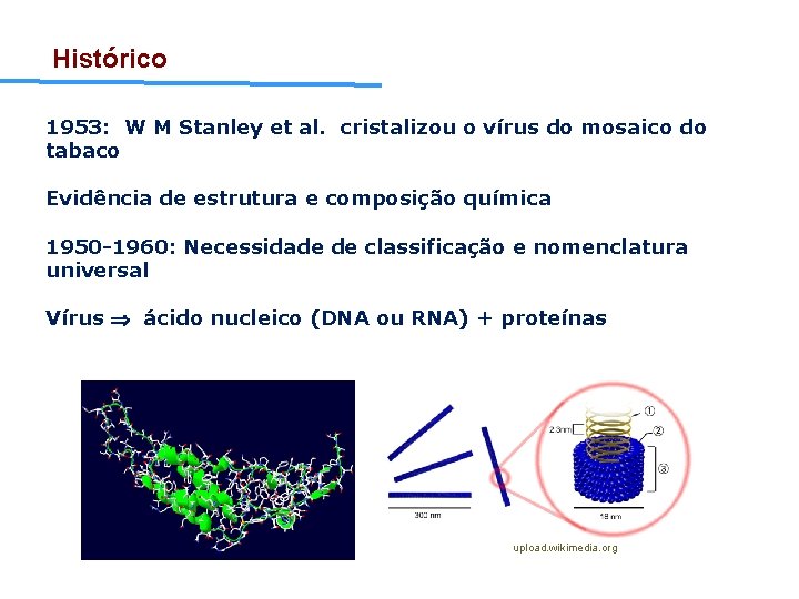 Histórico 1953: W M Stanley et al. cristalizou o vírus do mosaico do tabaco