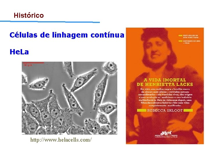 Histórico Células de linhagem contínua He. La http: //www. helacells. com/ 