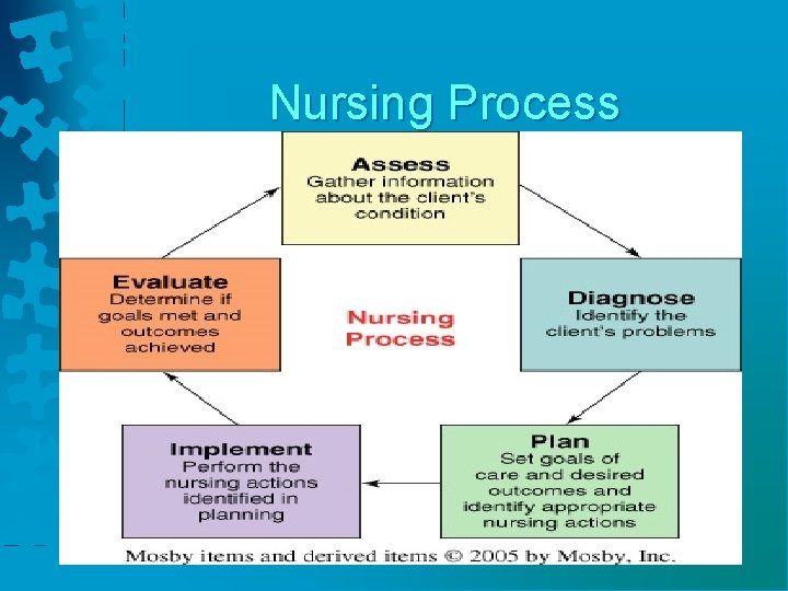 Nursing Process 