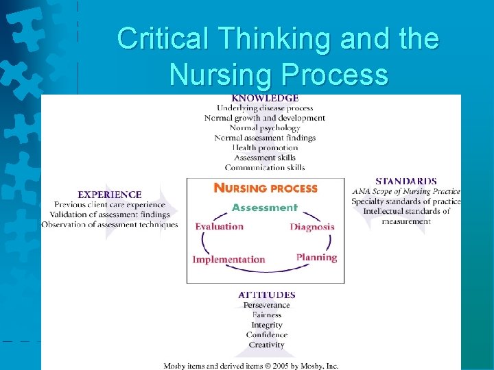 Critical Thinking and the Nursing Process 