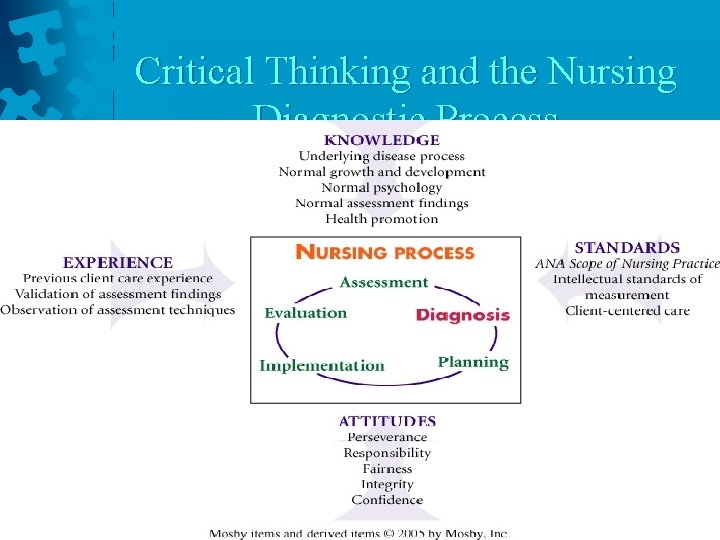 Critical Thinking and the Nursing Diagnostic Process 