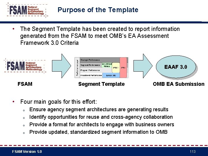 Purpose of the Template • The Segment Template has been created to report information