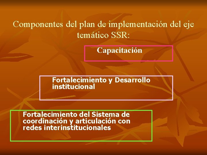 Componentes del plan de implementación del eje temático SSR: Capacitación Fortalecimiento y Desarrollo institucional