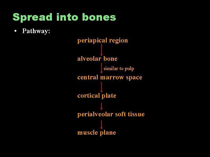Spread into bones • Pathway: periapical region alveolar bone similar to pulp central marrow
