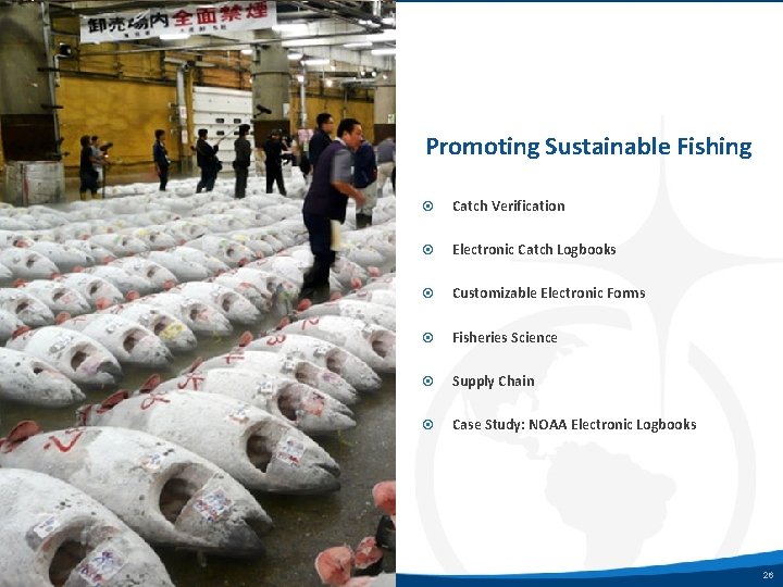 Promoting Sustainable Fishing Catch Verification Electronic Catch Logbooks Customizable Electronic Forms Fisheries Science Supply