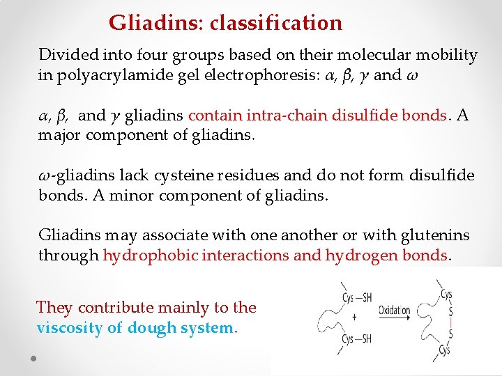 Gliadins: classification Divided into four groups based on their molecular mobility in polyacrylamide gel