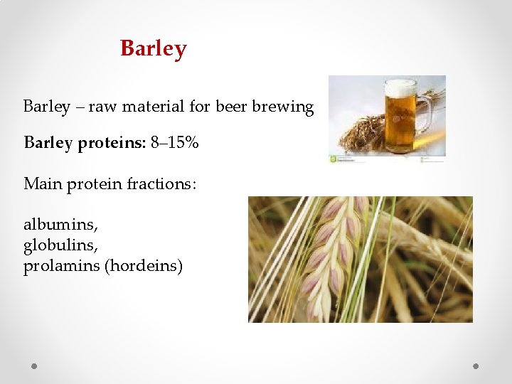 Barley – raw material for beer brewing Barley proteins: 8– 15% Main protein fractions: