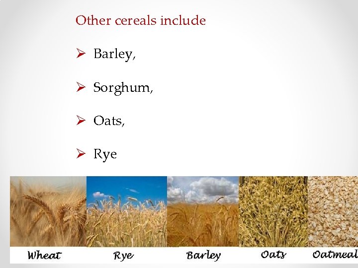 Other cereals include Ø Barley, Ø Sorghum, Ø Oats, Ø Rye 