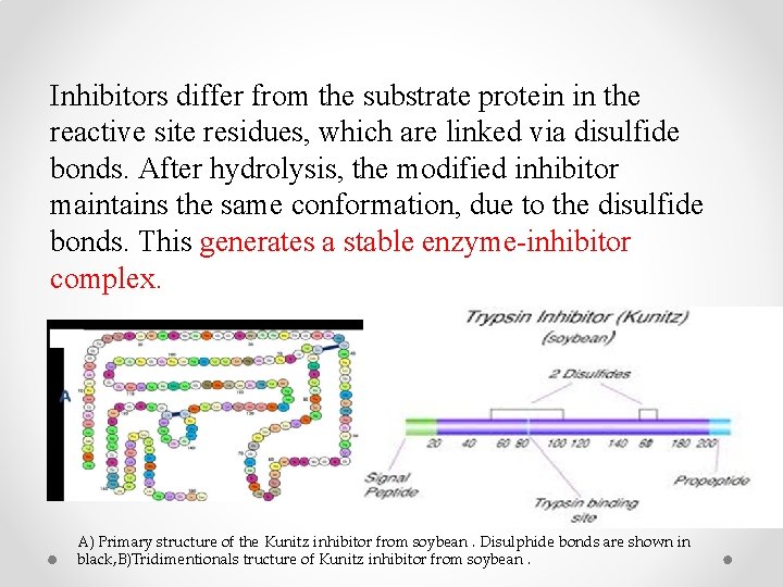 Inhibitors differ from the substrate protein in the reactive site residues, which are linked