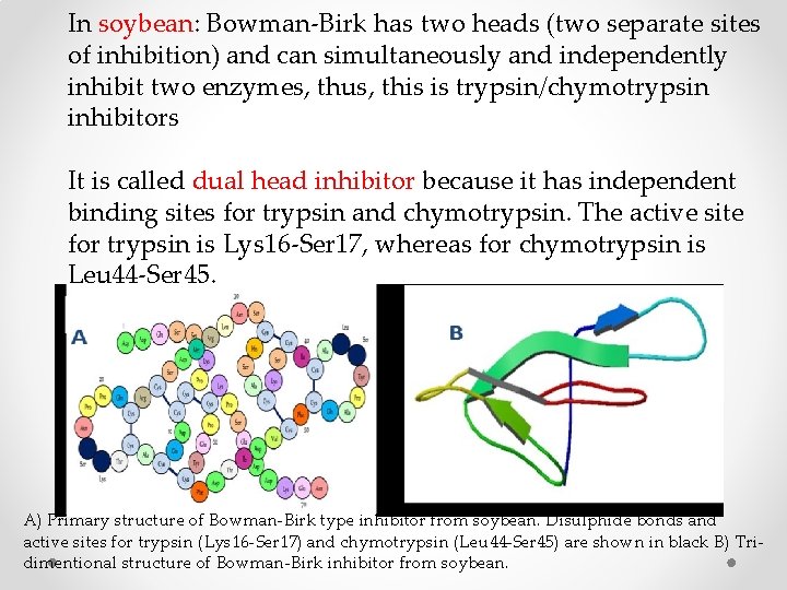 In soybean: Bowman-Birk has two heads (two separate sites of inhibition) and can simultaneously