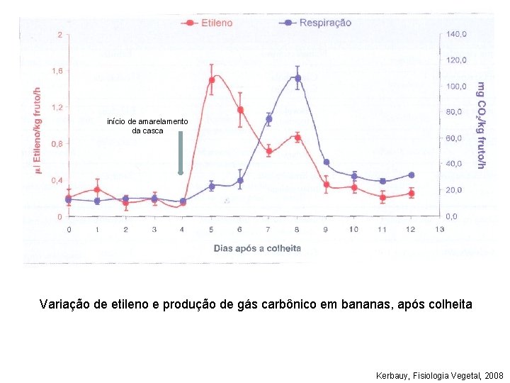 início de amarelamento da casca Variação de etileno e produção de gás carbônico em