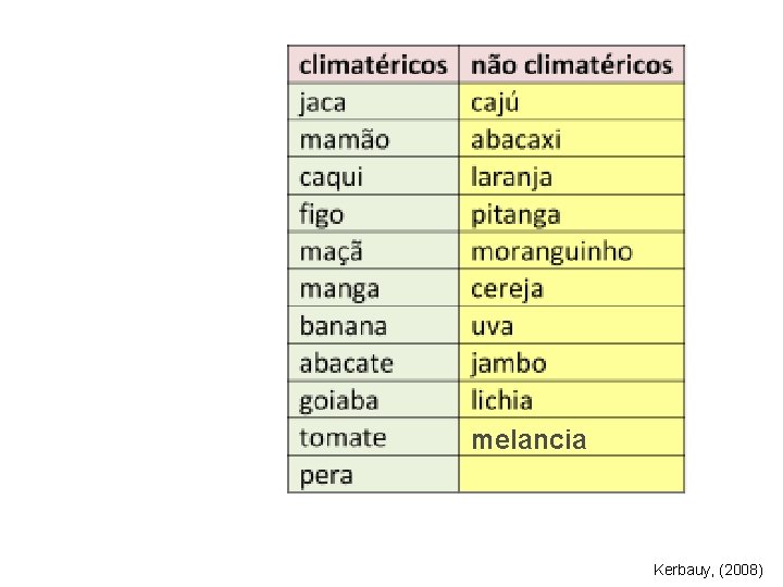 melancia Kerbauy, (2008) 
