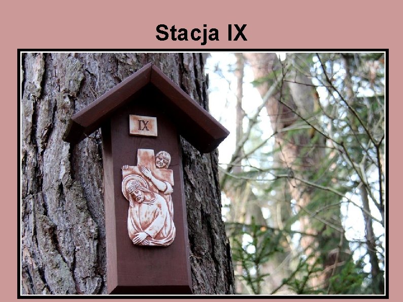 Stacja IX 