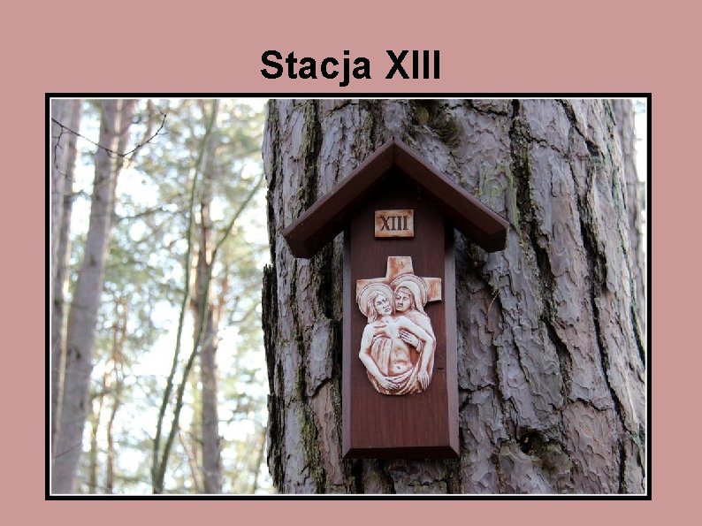 Stacja XIII 