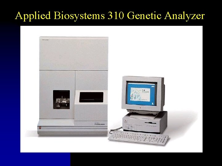 Applied Biosystems 310 Genetic Analyzer 