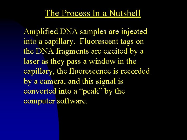 The Process In a Nutshell Amplified DNA samples are injected into a capillary. Fluorescent