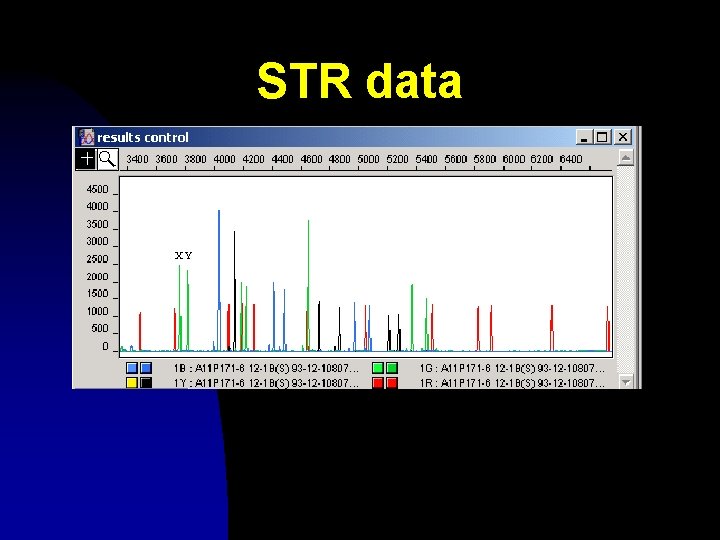 STR data X, Y, XY 