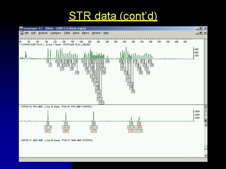 STR data (cont’d) 