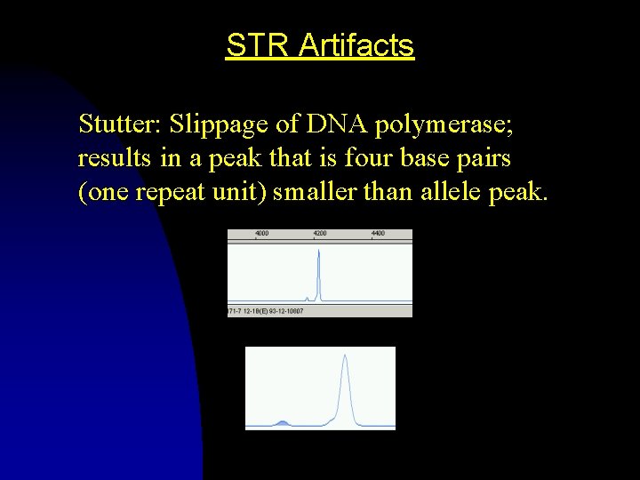 STR Artifacts Stutter: Slippage of DNA polymerase; results in a peak that is four