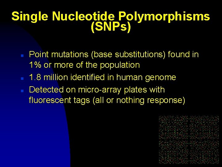 Single Nucleotide Polymorphisms (SNPs) n n n Point mutations (base substitutions) found in 1%