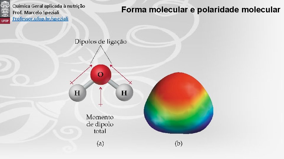 Química Geral aplicada à nutrição Prof. Marcelo Speziali Professor. ufop. br/speziali Forma molecular e