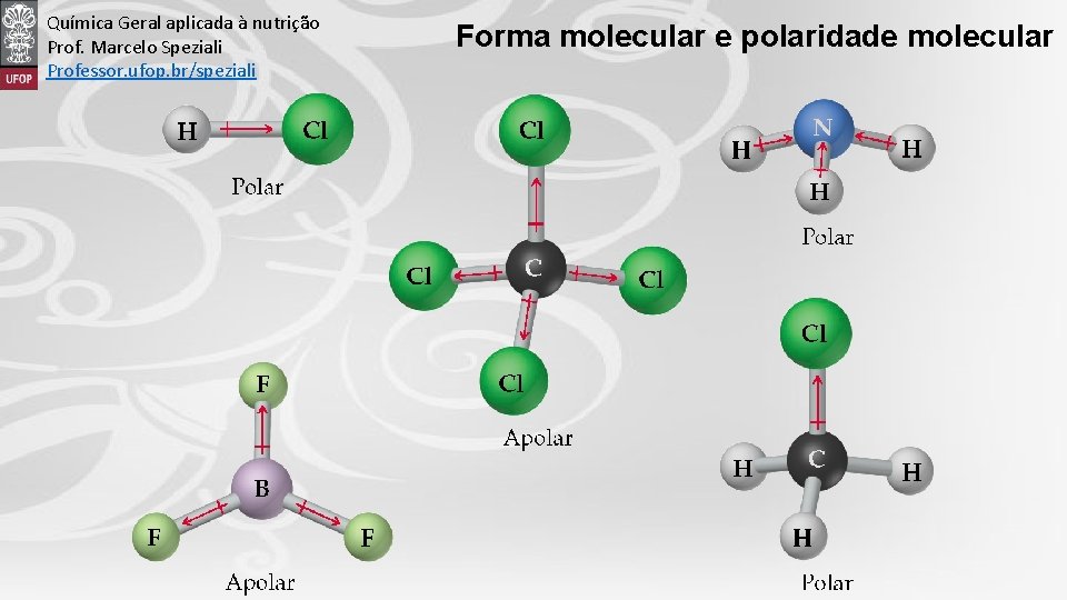 Química Geral aplicada à nutrição Prof. Marcelo Speziali Professor. ufop. br/speziali Forma molecular e