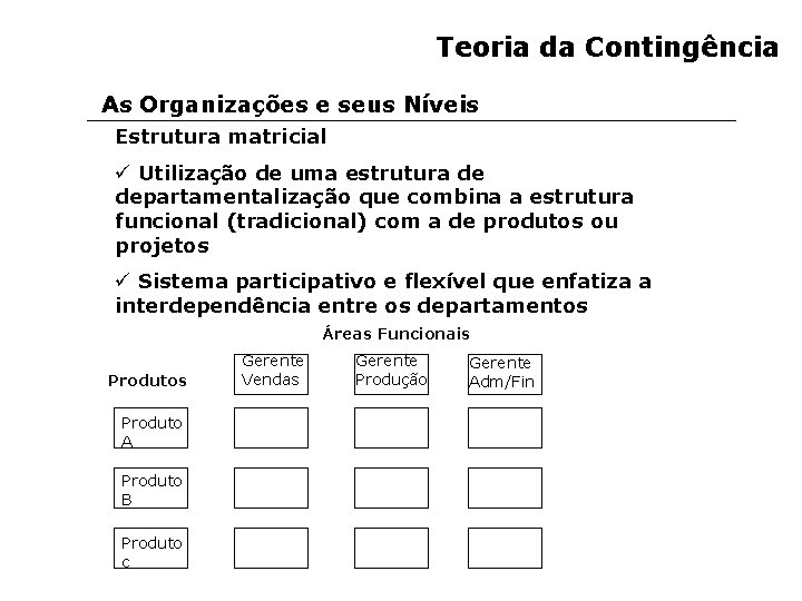 Teoria da Contingência As Organizações e seus Níveis Estrutura matricial ü Utilização de uma