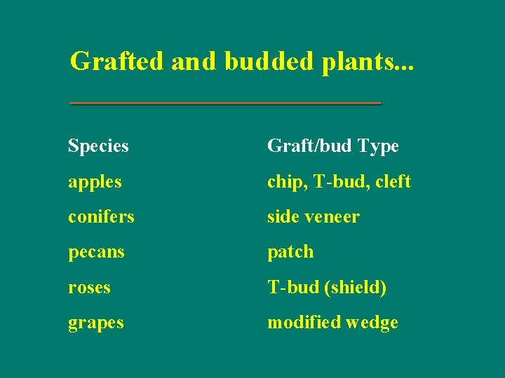 Grafted and budded plants. . . Species Graft/bud Type apples chip, T-bud, cleft conifers