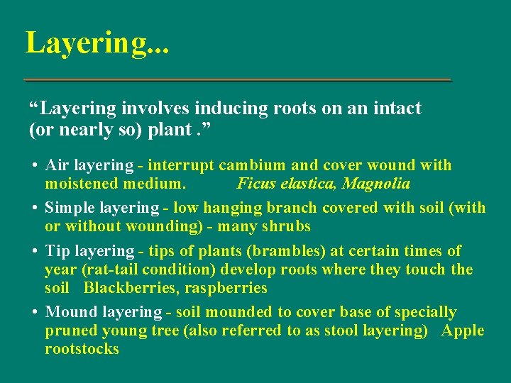 Layering. . . “Layering involves inducing roots on an intact (or nearly so) plant.