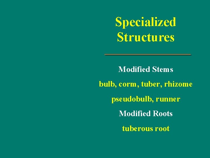 Specialized Structures Modified Stems bulb, corm, tuber, rhizome pseudobulb, runner Modified Roots tuberous root