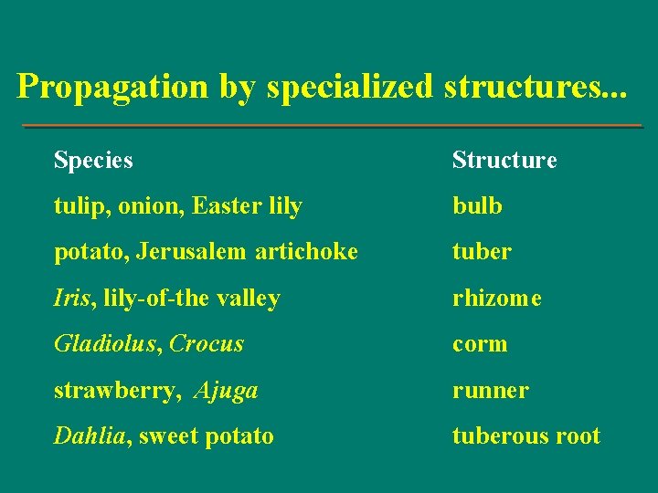Propagation by specialized structures. . . Species Structure tulip, onion, Easter lily bulb potato,