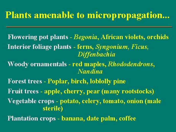 Plants amenable to micropropagation. . . Flowering pot plants - Begonia, African violets, orchids